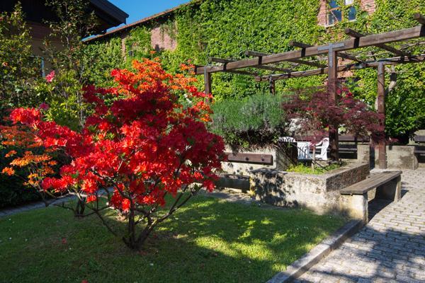 Foresteria Valdese Hotel Torre Pellice Kültér fotó